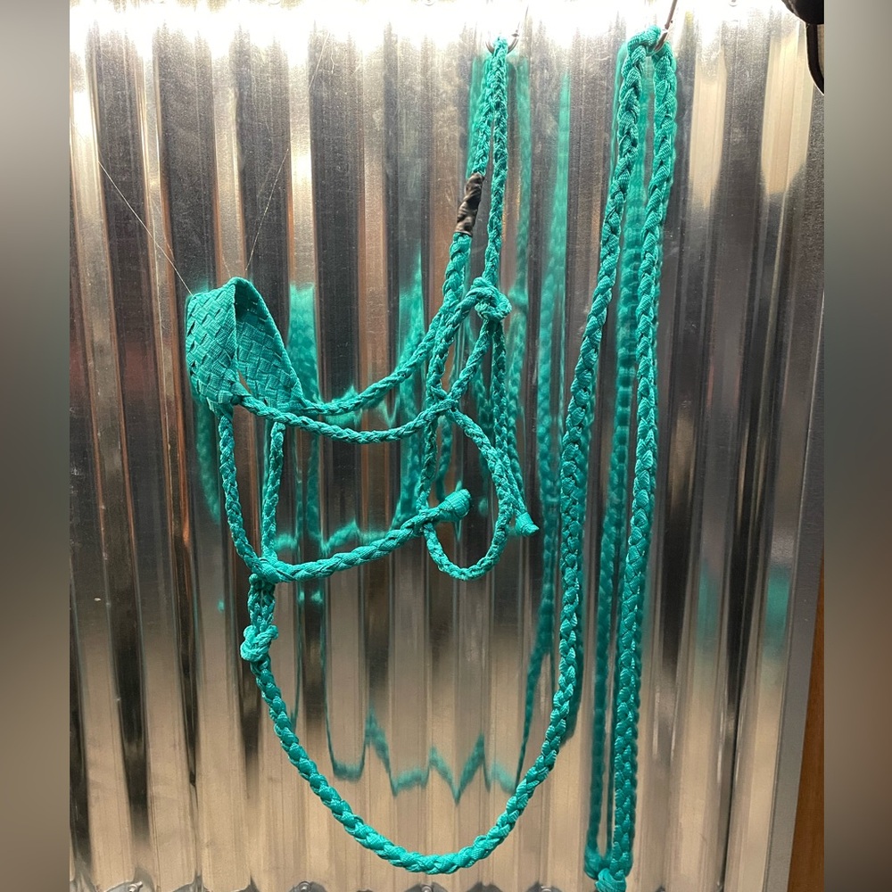 Turquoise Hand Braided Mule Tape Halter